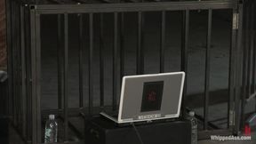 Stacey Stax, Ariel X And Isis Love In Harmony Live Show Rev