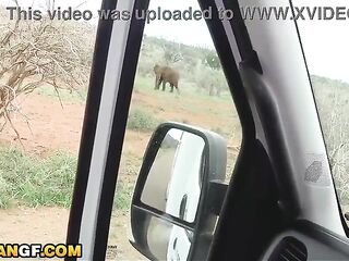 Concupiscent Black Chick Slammed Coarse On All Fours By Hung White Tourist In Camper Van