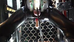 Automated Perversions Compilation