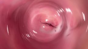 The hottest pussy spreading and internal camera in Mia's creamy vagina