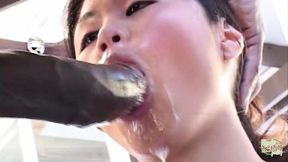 Her Asian Holes Can Take BBC and Make It Cum All Over Her Face