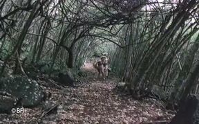 Sex on the beach part 2.