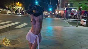 Gorgeous Babe Walking Topless Through Santa Monica