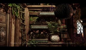 paws of trust part 1