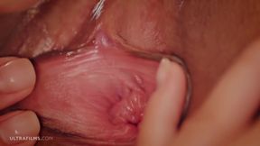 We Shiver Under The Claw Of Passion, 4k