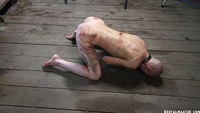 Astonishing Xxx Clip Hd New Only For You