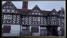The Tudor Lounge - a MILF's Playground