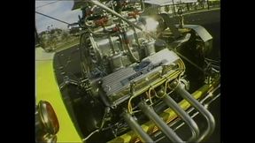 Wild and Beautiful Sex