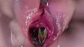 3D Two Horny Slut Babe Have First Time Threesome Sex with Big Cock