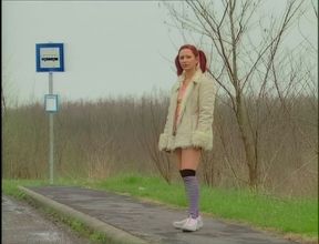 A Family of Sound Principles Vol 2