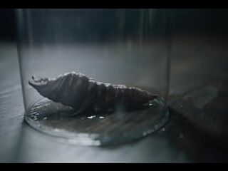 Leana Lovings Monster Screwed - Cute Nerdy Beauty Gets Her Snatch Wrecked by Biffy Comics Comics Monster