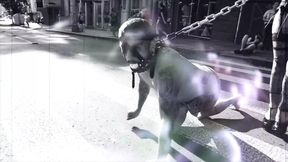 Tattooed Alt Girls, Femdom and Wax Play