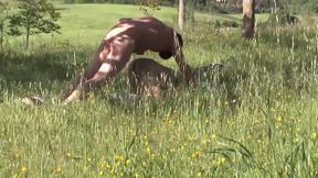 Outdoor Raid Anal and Fucking Movie