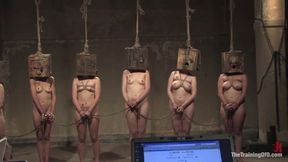 The Auditons Part Three