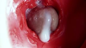 Mini-camera In the Butthole: Intense Anal Orgasm With a Creampie Is Shown From the Inside