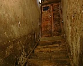 Outdoor Fuck with Hot Babes Maonig for Huge Cock Sliding in Wet Pussies Compilation