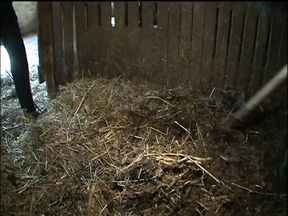 Der Sadisten-Zirkel 10 (Full Movie)