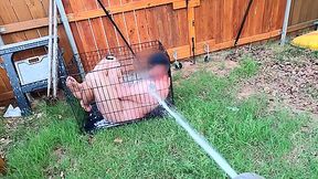 Femdom Wife Humiliates Small Penis Husband Hoses Him Like A Animal In A Dog Cage