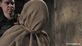 The Training of Julie Night, Day Three