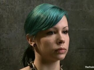 Last Exam-blue and Red