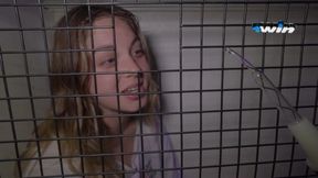 Orgia en Argentina con polla grande y juguetes BDSM