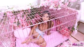 Pink Room Ep.25: Obedient Cutie Clara Gets Stretched Out