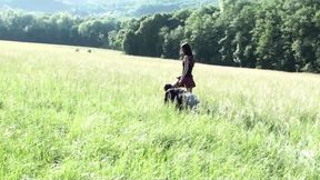 glamour girl&rsquo;s dog education