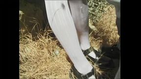 Extrem Geile Teenies (Full Movie)