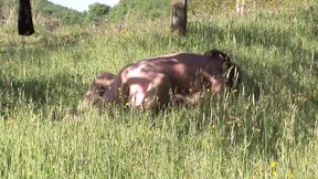 Alla Farnese in officina prude la Vagina - (Film Completo)