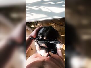 Stunning golden-haired drilled during golden hour - POV cum on cunt