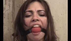 cv 165 looking for a friend